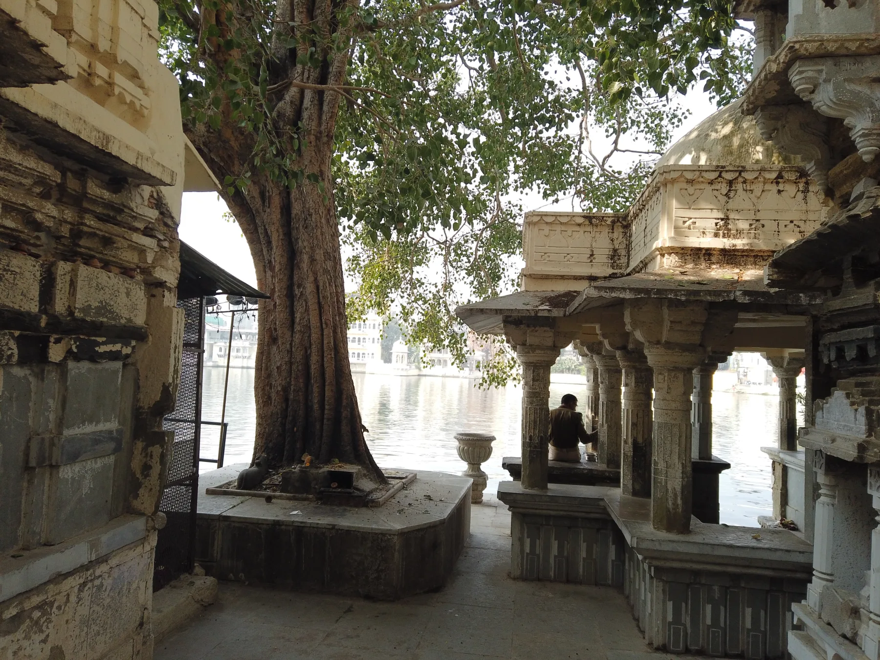 udaipur