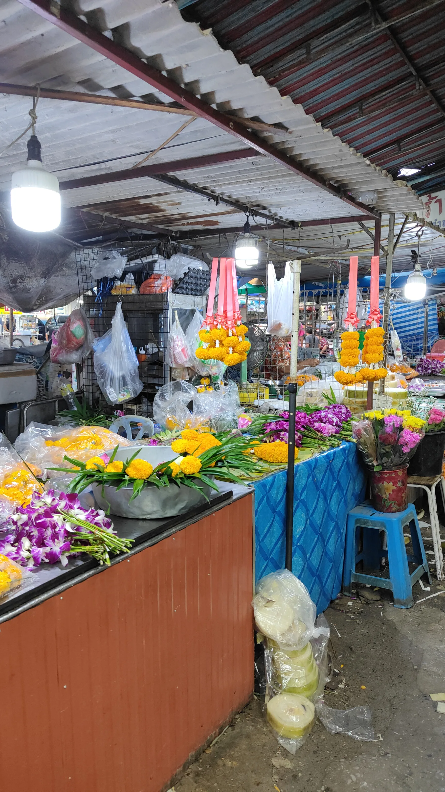 Ayutthaya 