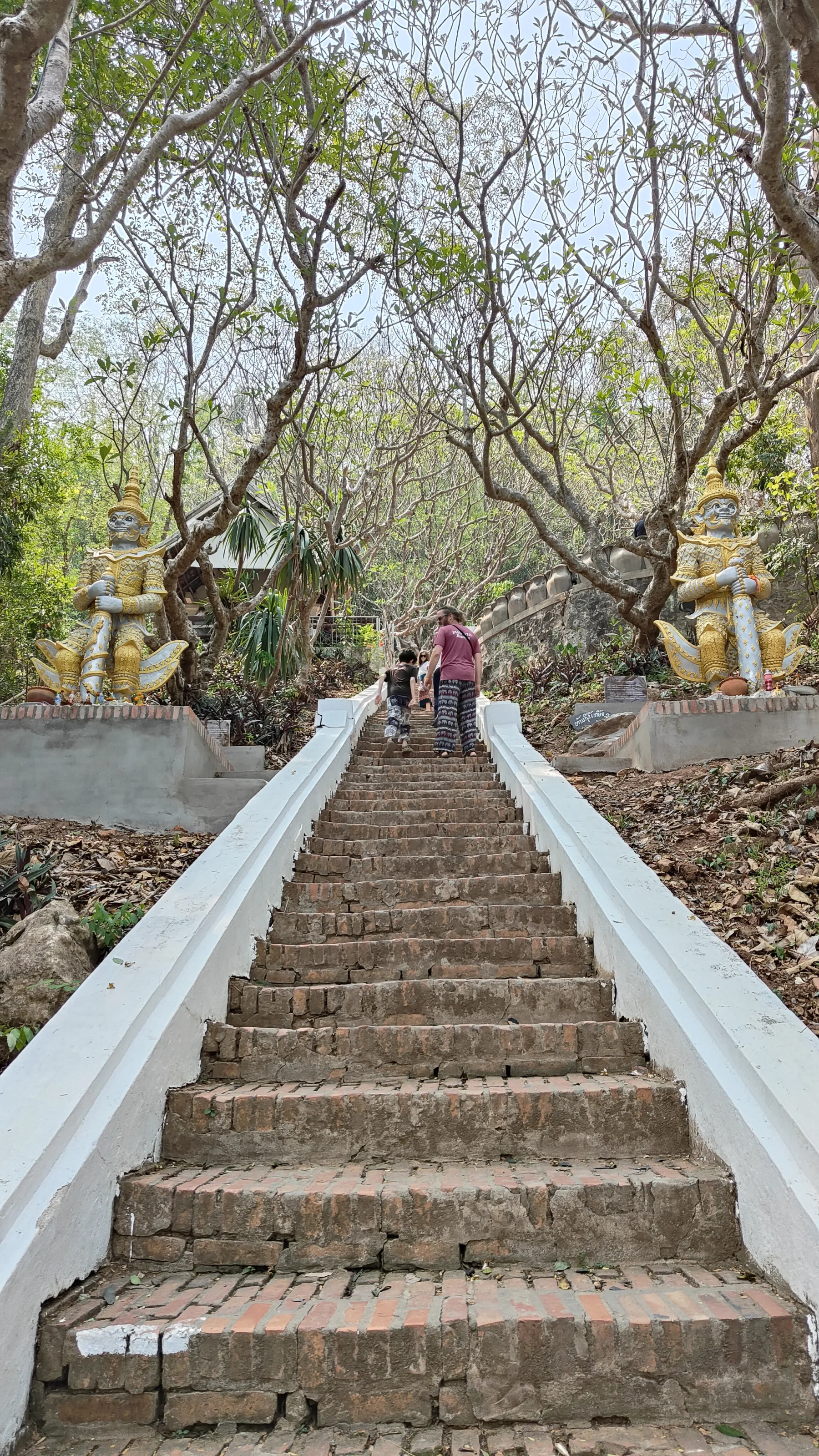 Luang Prabang - Mont Phousi