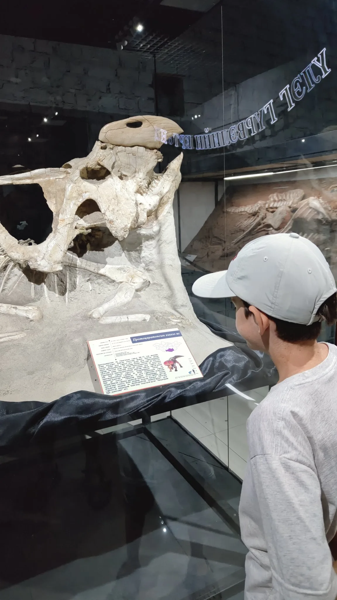 Oulan-Bator - Muséum d'histoire naturelle