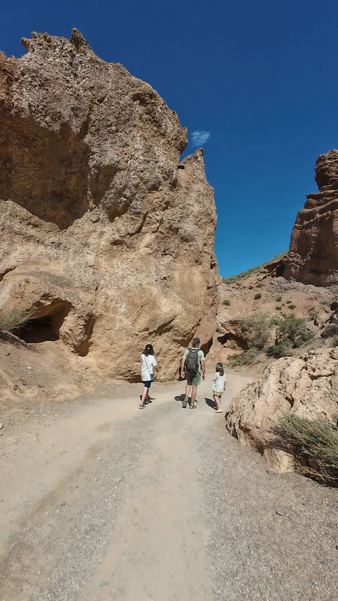 canyon charyn