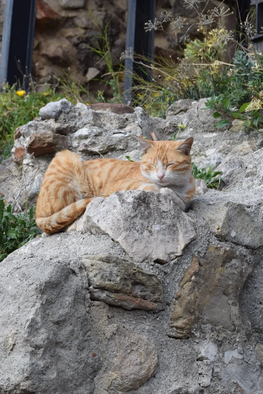 Amasra