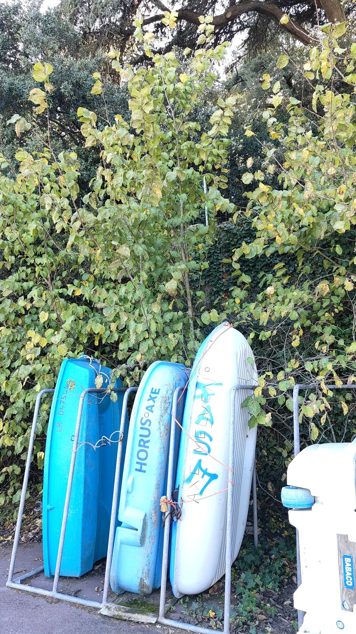 Octobre sur les routes - Pornic