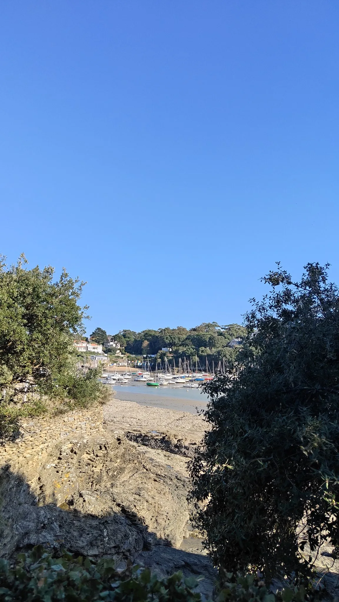Paysage