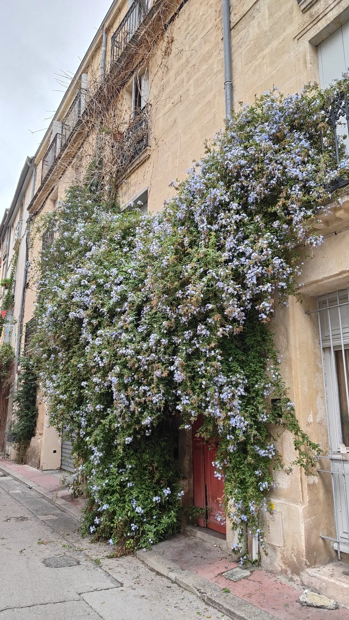 Rue de Montpellier
