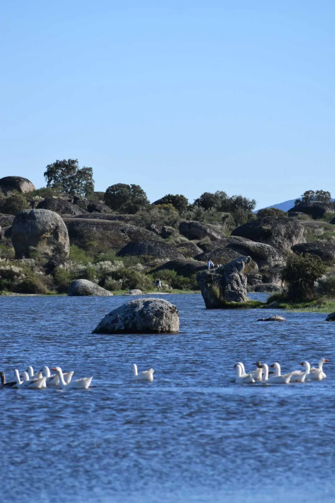 Parc naturel Los Barruecos