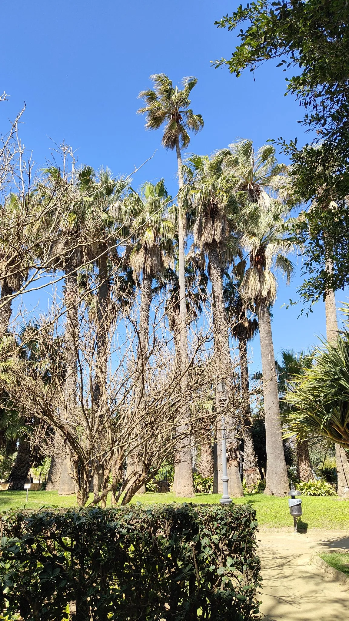parc botanique Genovés