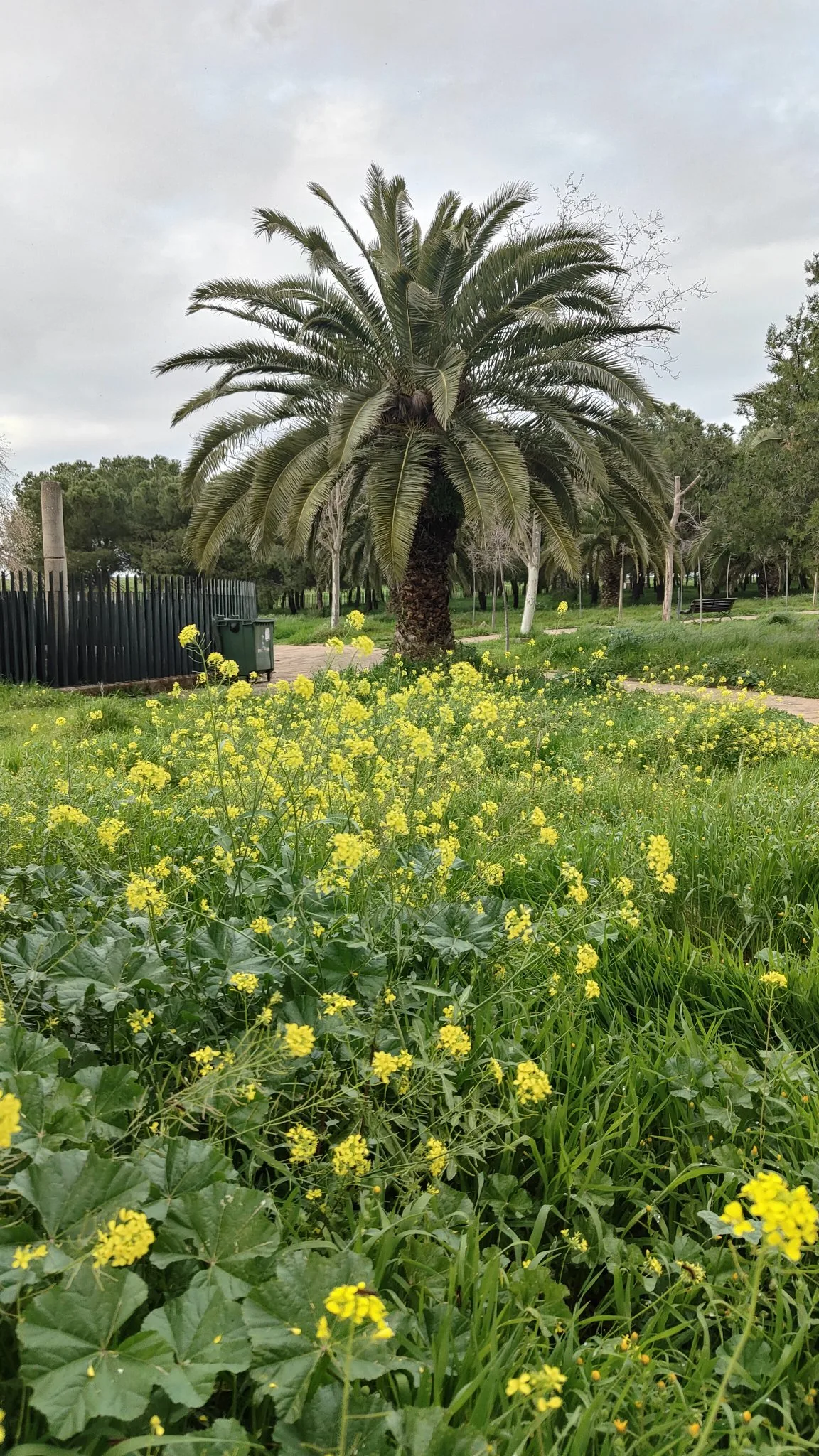 Parc Villafranca de los Barros