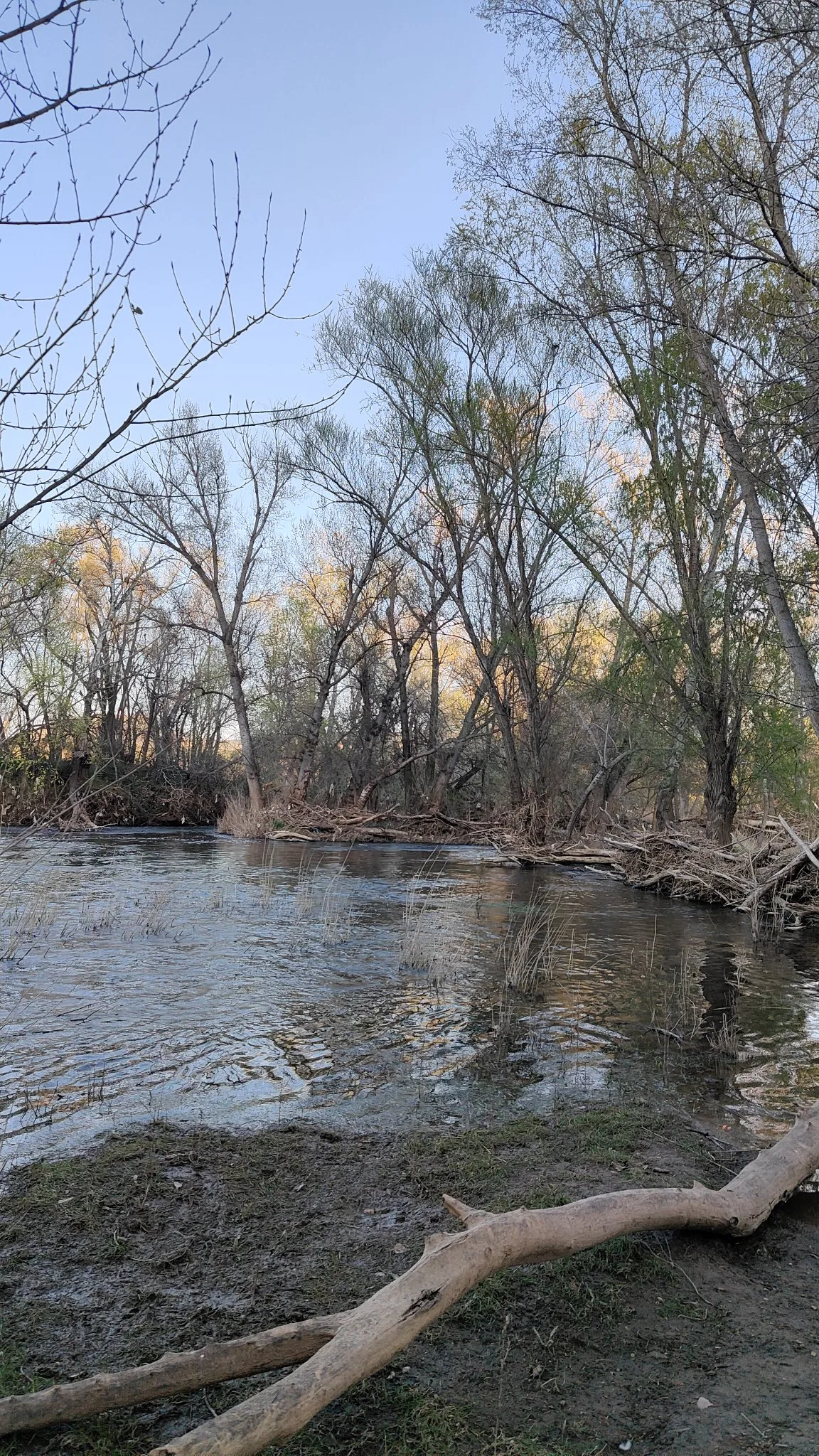 Rivière