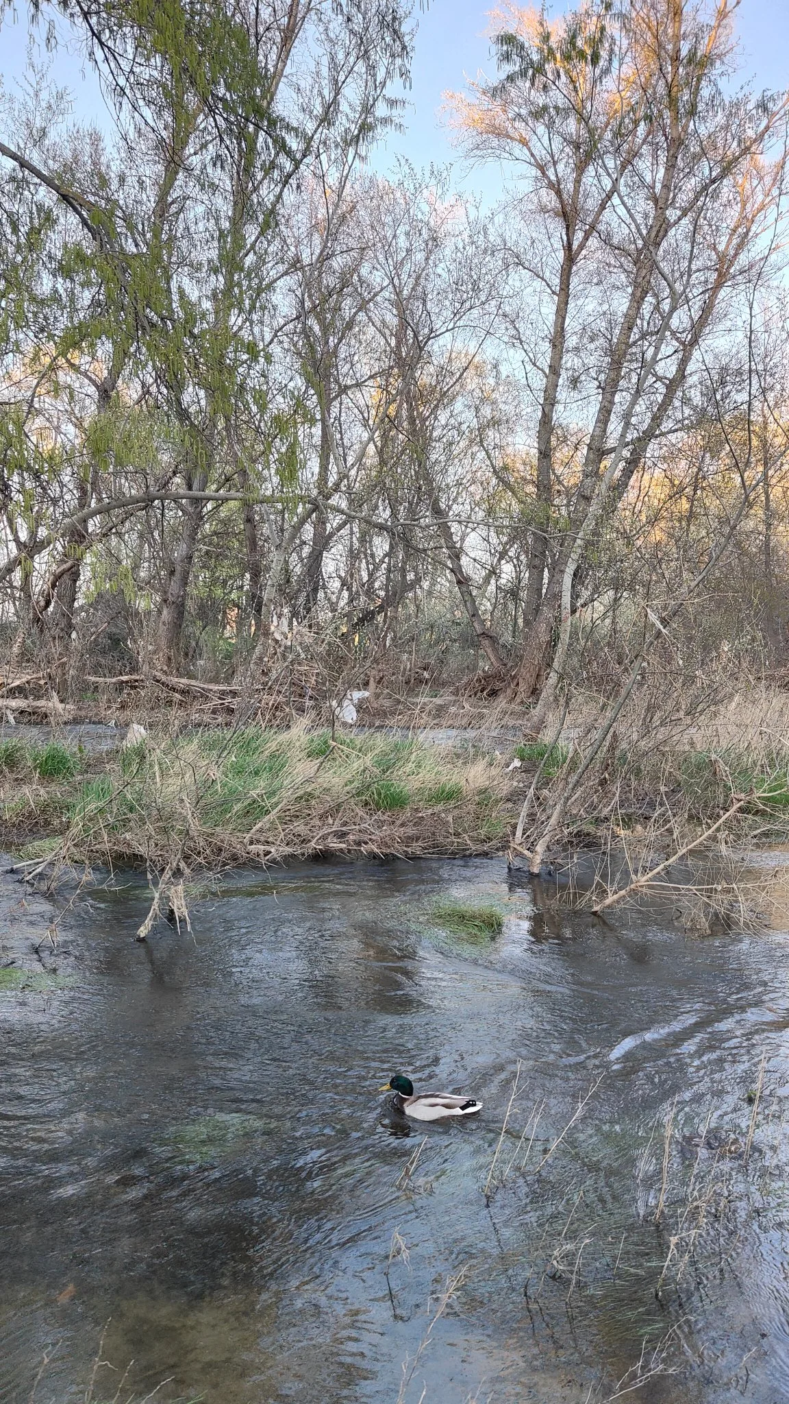 Rivière