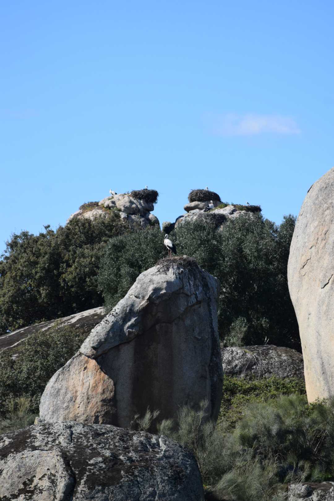 parc naturel Los Barruecos